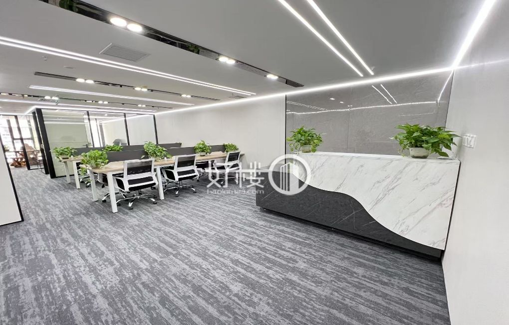 观音桥中信大厦2+12+前台形象墙 直接拎包办公 m²写字楼|办公室出租|租赁/租金/图片
