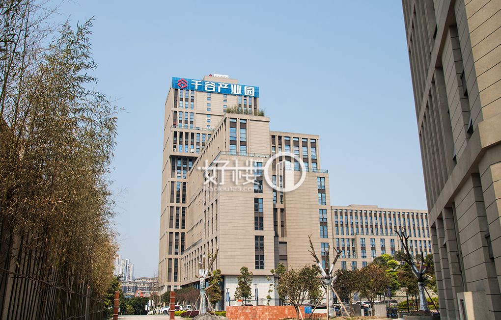 千谷产业园2号楼写字楼|办公室出租|租赁/租金/图片