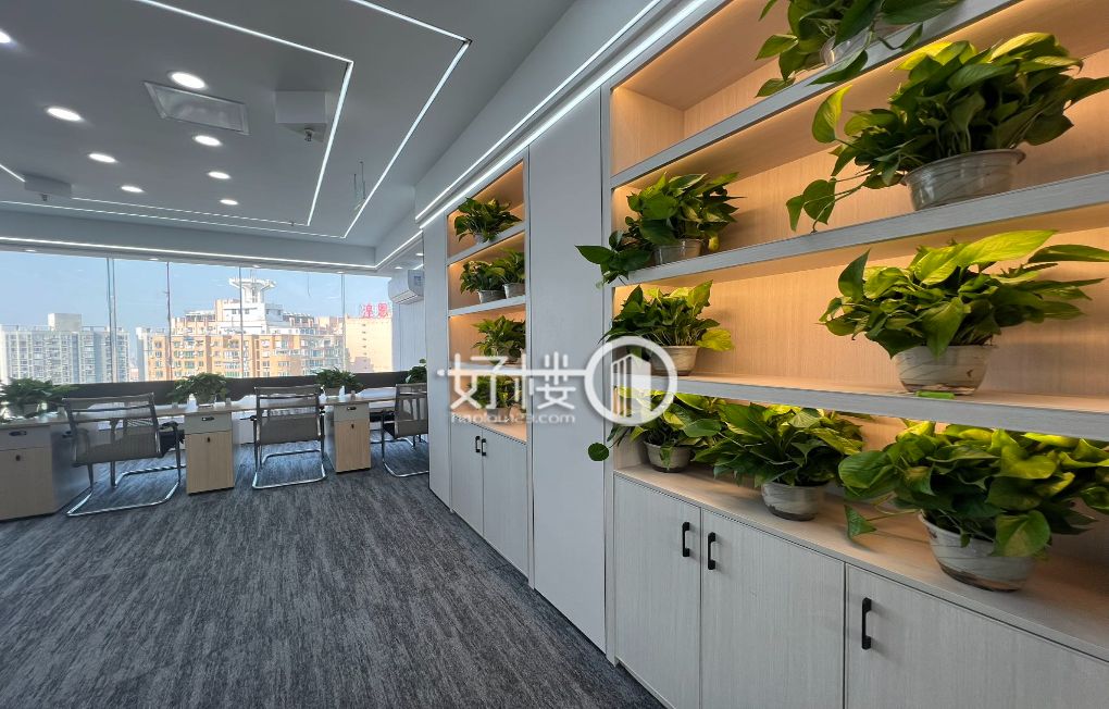 沙坪坝轻轨站口，时代星空精装户型出租-沙坪坝办公室出租,办公室租赁信息