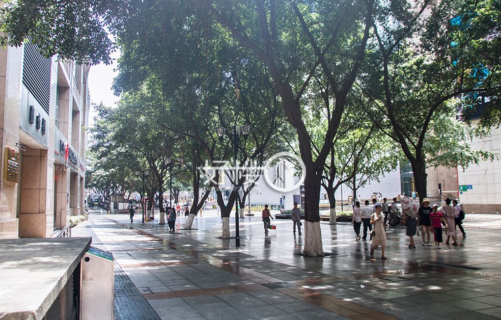 合景大厦A栋写字楼|办公室出租|租赁/租金/图片