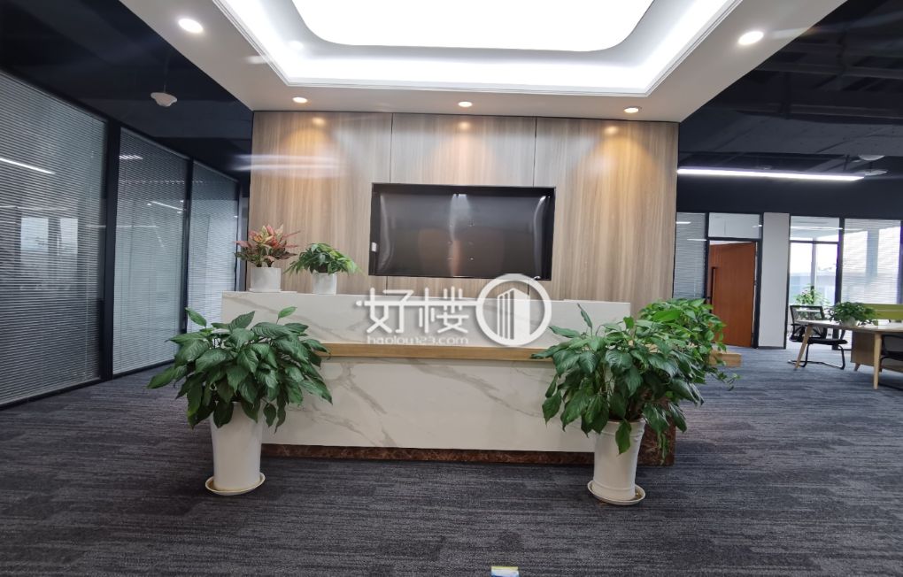 国金中心  8隔间 办公室出租 一线看江 拎包入住m²写字楼|办公室出租|租赁/租金/图片