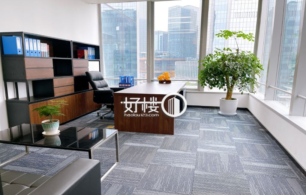 国金中心T5栋写字楼|办公室出租|租赁/租金/图片