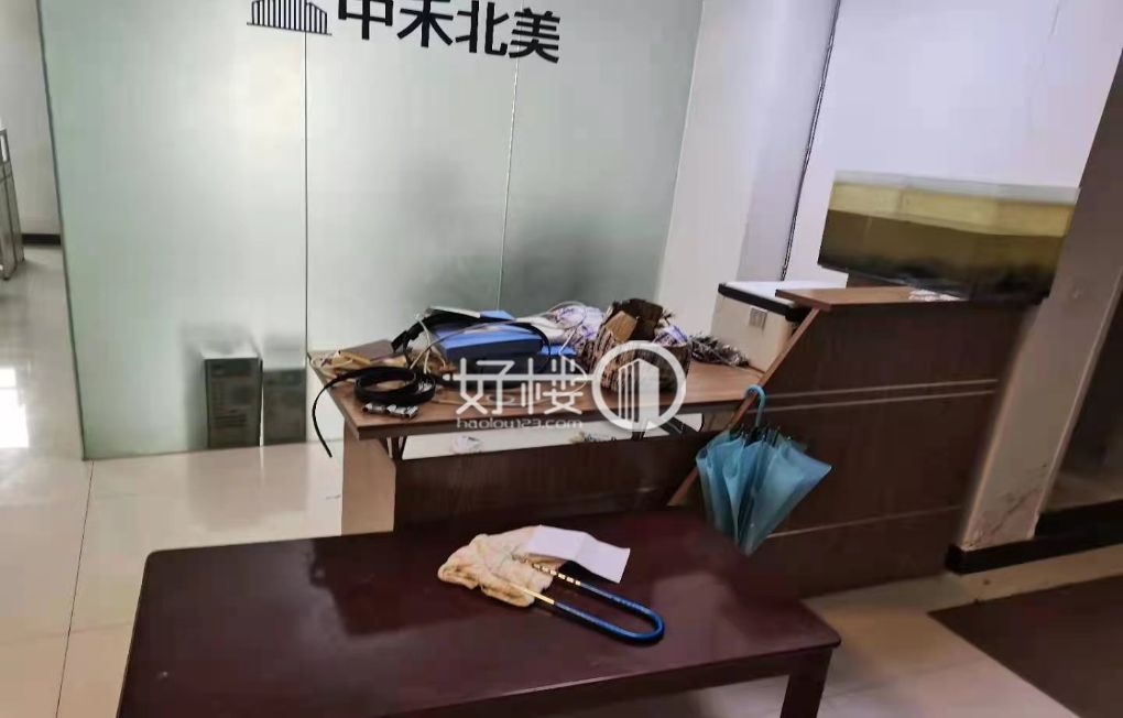 南坪天福克拉 双开玻璃门精装带家具出租写字楼|办公室出租|租赁/租金/图片