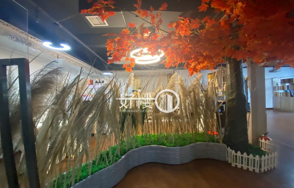 钻石国际精装123平写字楼业主出租写字楼|办公室出租|租赁/租金/图片