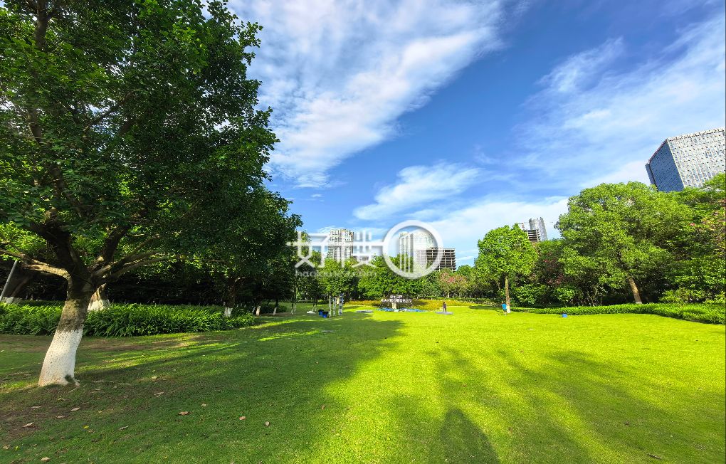 一线中央公园景色 大业主国企自持 高品质保障写字楼|办公室出租|租赁/租金/图片