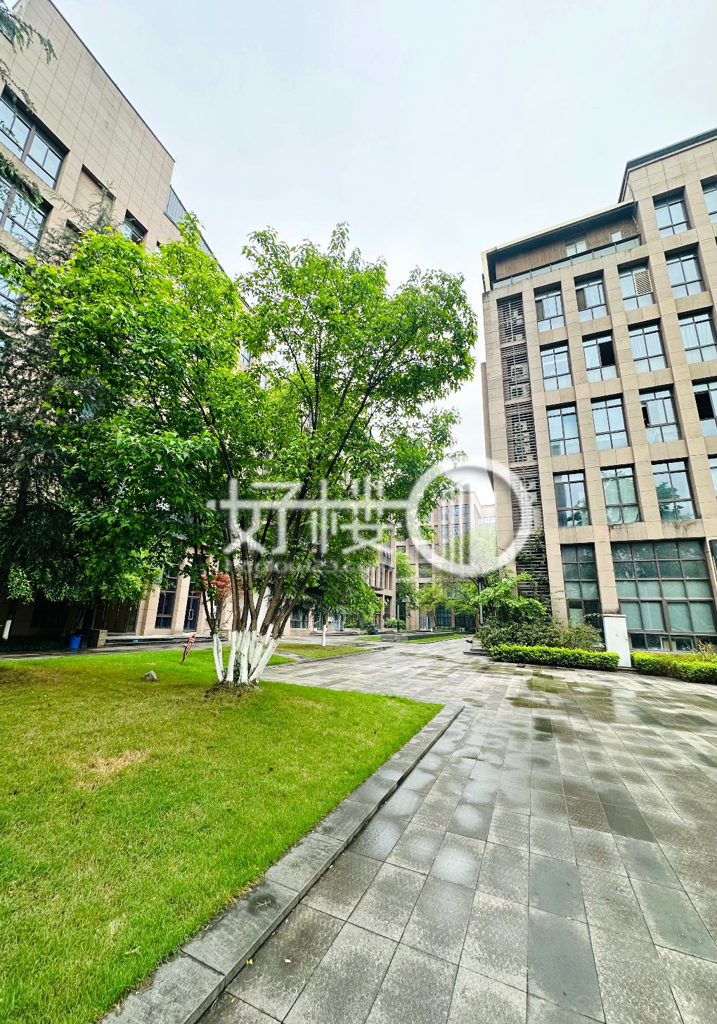 盈讯天地3号楼1单元写字楼|办公室出租|租赁/租金/图片