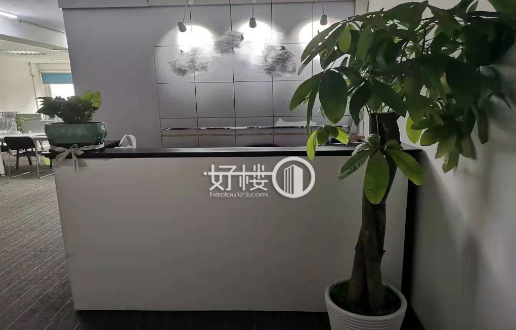 南坪轻轨口 科尔大厦全新装修 1+1格局 带家具m²写字楼|办公室出租|租赁/租金/图片