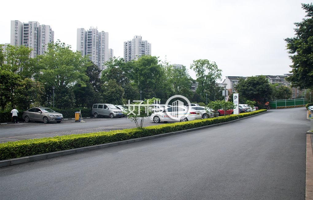 绿地保税中心6号楼1单元写字楼|办公室出租|租赁/租金/图片