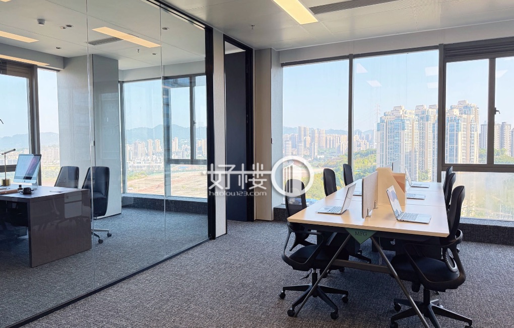 整栋运营 绿地保税港全新精装带家具 面积任选写字楼|办公室出租|租赁/租金/图片