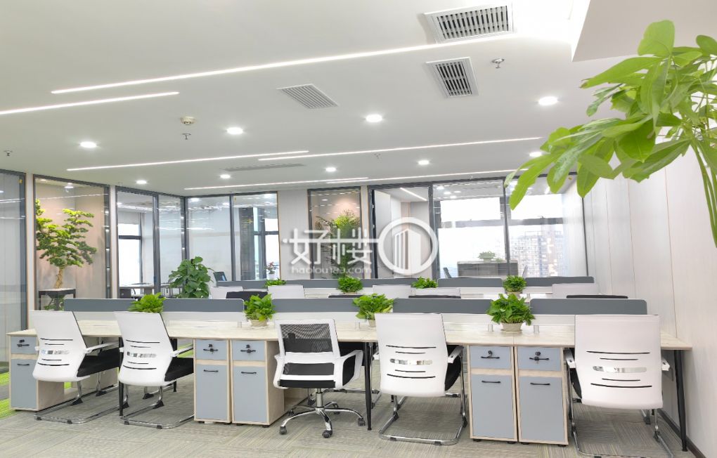 大坪地标，测对电梯口，精装修带家具出租m²写字楼|办公室出租|租赁/租金/图片