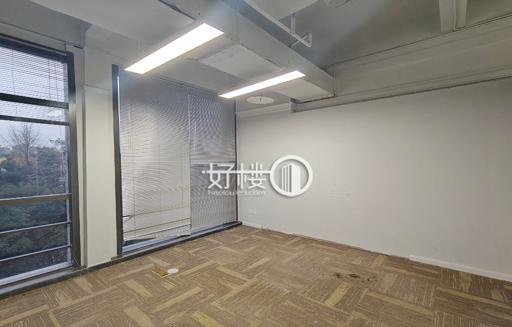 坐北朝南丨财富中心独栋写字楼丨轻轨出口写字楼|办公室出租|租赁/租金/图片