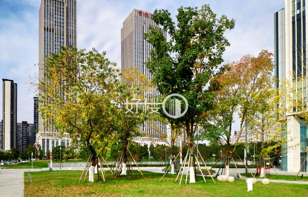 大悦城铂悦B座写字楼|办公室出租|租赁/租金/图片