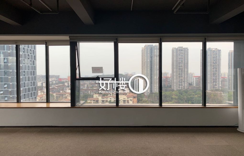 金开协信中心 精装修 带租约 高区楼层出售写字楼|办公室出售|租赁/租金/图片