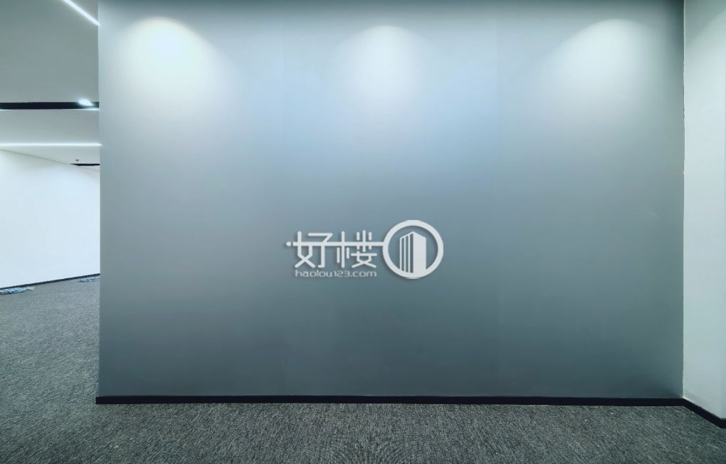 两江新区丨光电园丨金星科技大厦丨精装修带家具出租写字楼|办公室出租|租赁/租金/图片