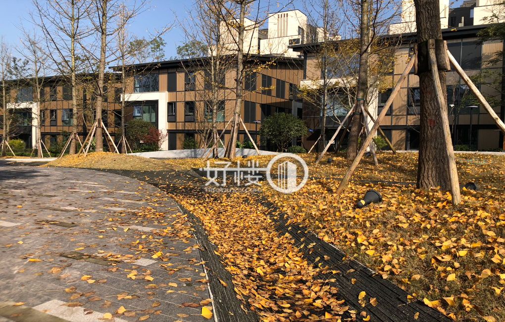 香港置地·壹江郡·独栋18栋写字楼|办公室出售|租赁/租金/图片