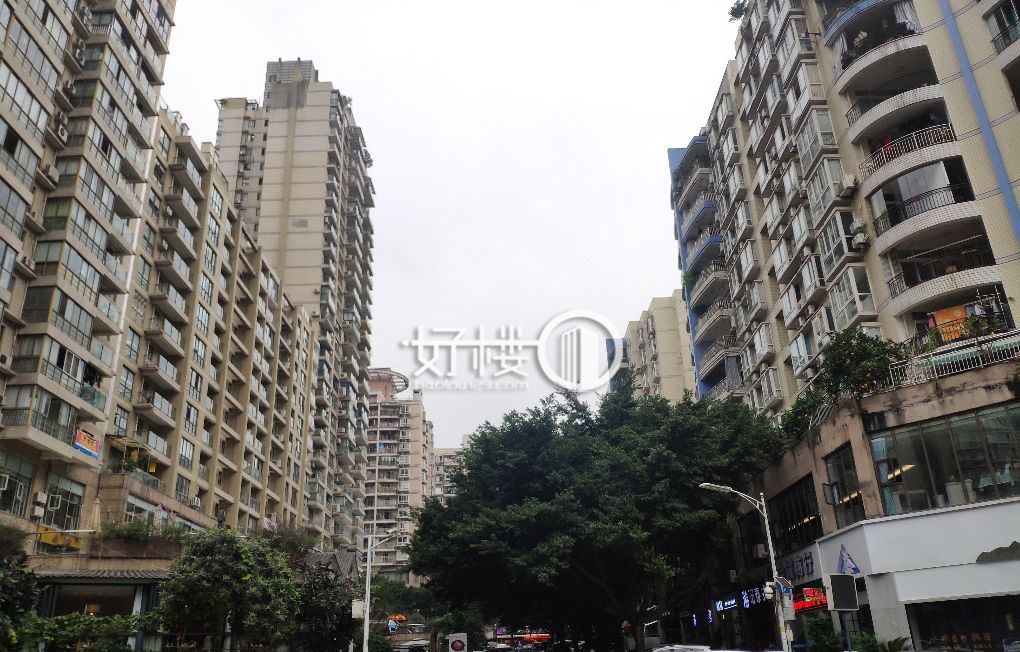 鼎泰公寓1栋2单元写字楼|办公室出租|租赁/租金/图片
