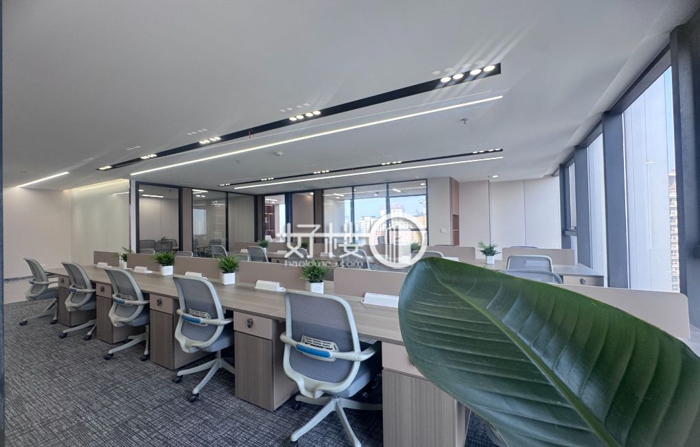 精装修带家具 接受定制装修 云境国际龙湖光年  写字楼|办公室出租|租赁/租金/图片