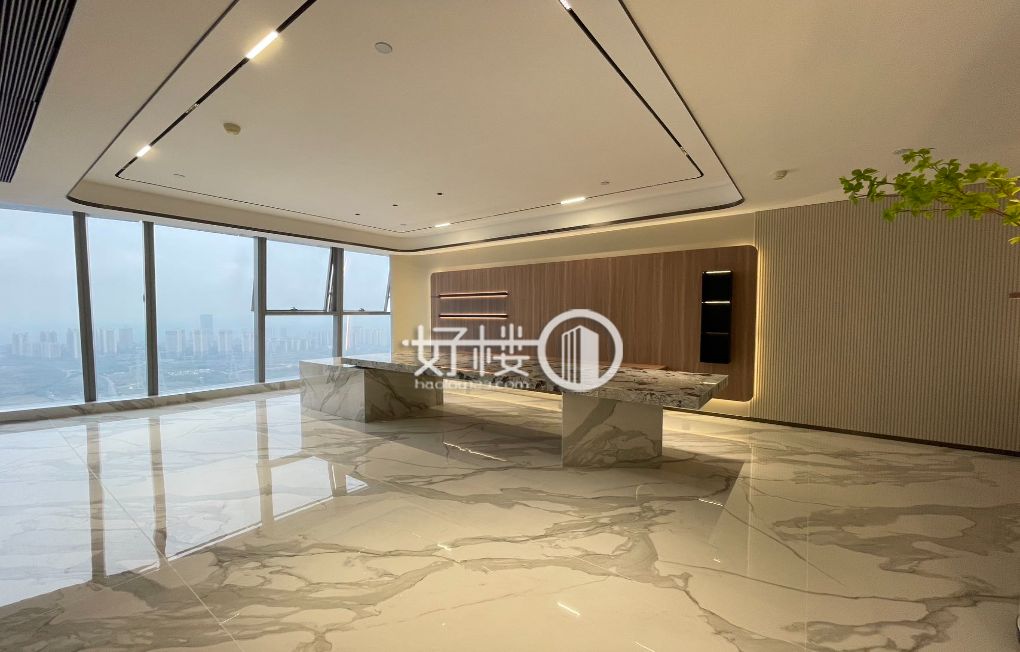 半层 单套出租都可以  直接拎包办公 业主自己装修写字楼|办公室出租|租赁/租金/图片