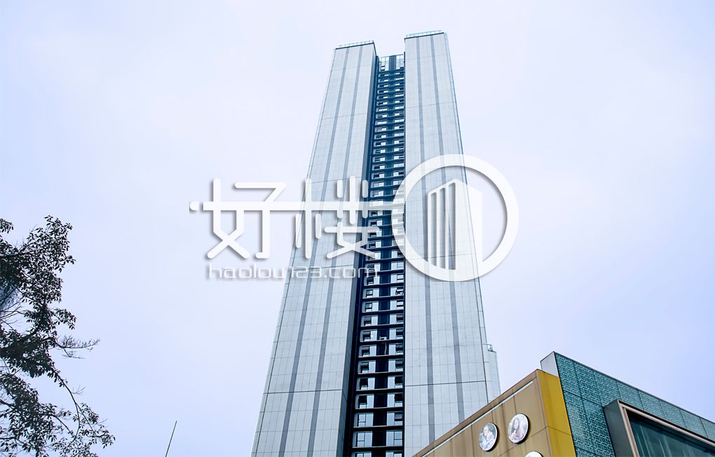 龙湖新壹街2栋写字楼|办公室出租|租赁/租金/图片