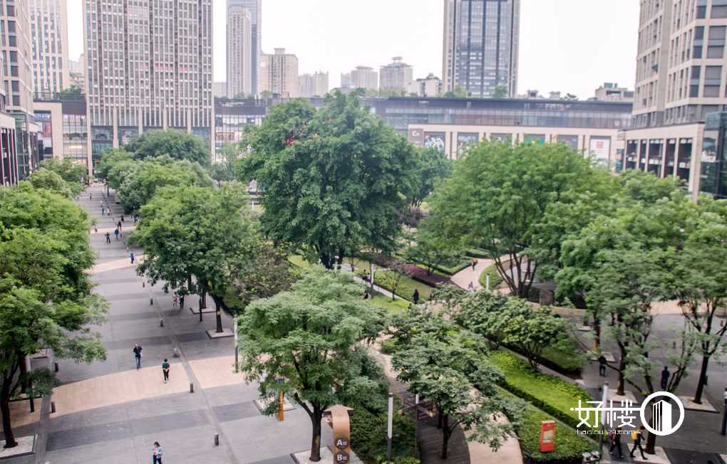 龙湖时代天街10号楼写字楼|办公室出租|租赁/租金/图片