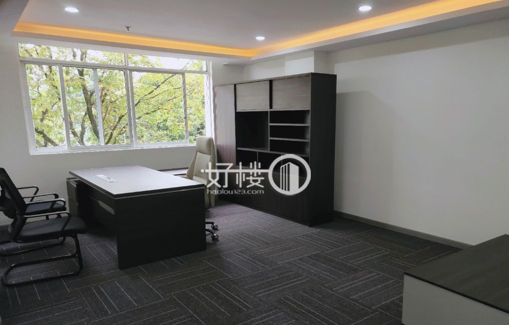 金开大道沿线丨三狼大厦办公室精装 停车方便独栋办公写字楼|办公室出租|租赁/租金/图片